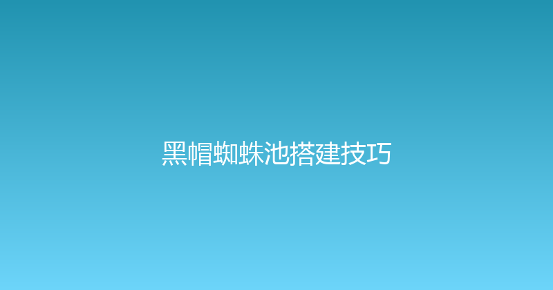 黑帽蜘蛛池搭建技巧 封面图